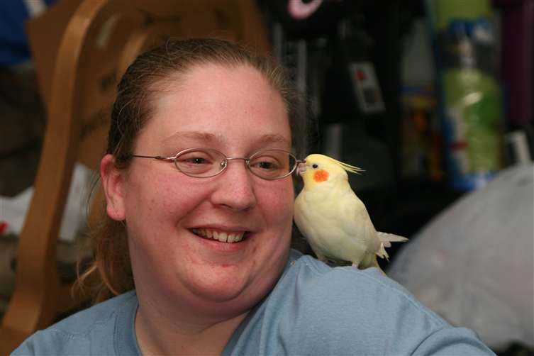 Click to go back